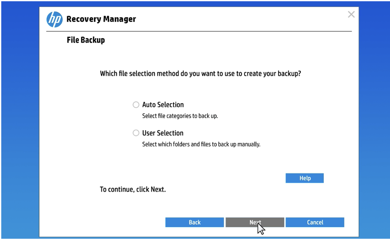 Select Auto selection if you want the tool to automatically choose the files to back up